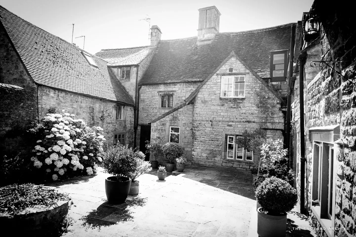 The honey-coloured stone rear of Carol's house and its neighbours, stone-tiled roofs over a flagstone courtyard with a hydrangea in bloom.