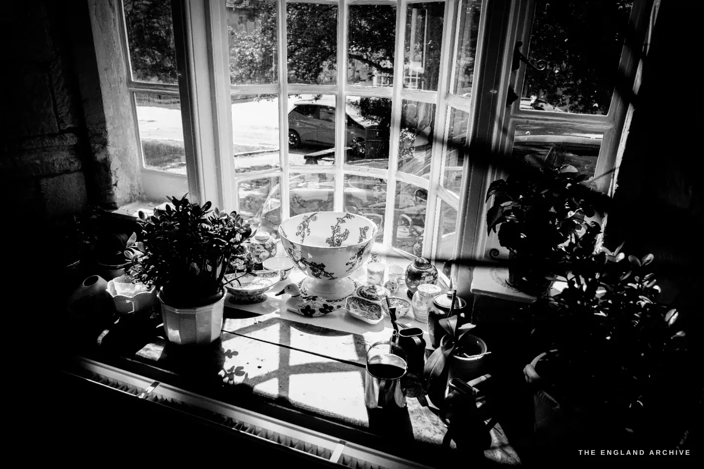 A bay window in Carol's house, its sill crowded with floral transferware, ginger jars and houseplants, a car and trees beyond the glass.
