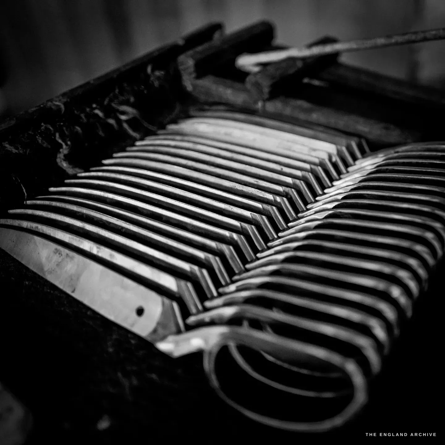 A close view of finished scissor blades fanned in ranks in a steel tray, their curves and edges catching the light.