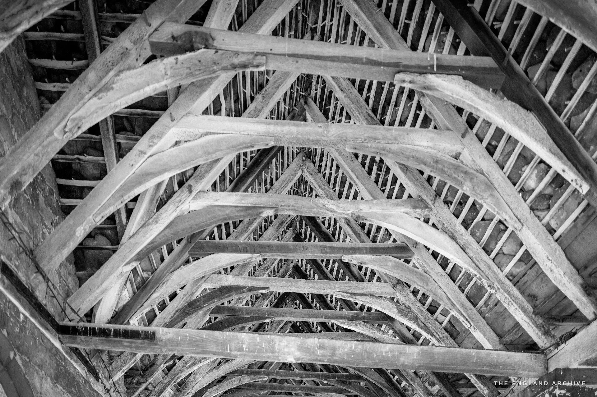 A near-abstract upward study of the Market Hall timber roof - repeating curved oak trusses, rafters and purlins seen from directly below.