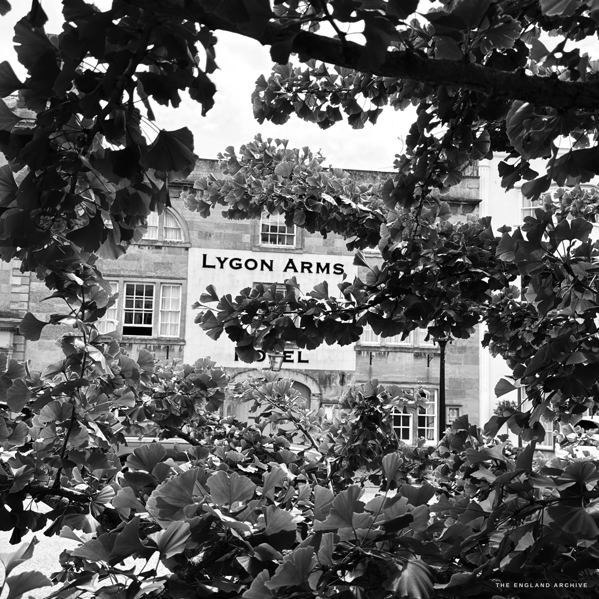 The painted Lygon Arms Hotel name sign seen through a frame of overhanging leaves, the lettering legible in a gap in the foliage.