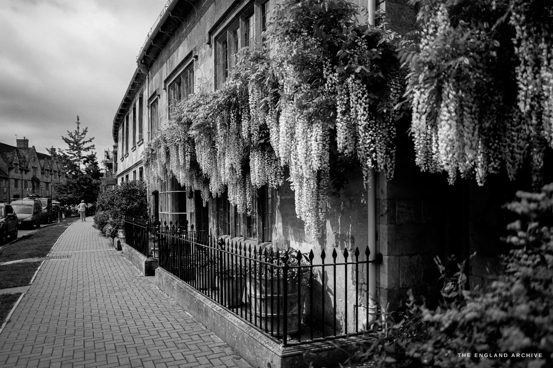 A Chipping Campden street down a brick pavement beside an honey-stone terrace, a heavy cascade of wisteria in full bloom spilling over iron railings, a lone figure walking ahead.