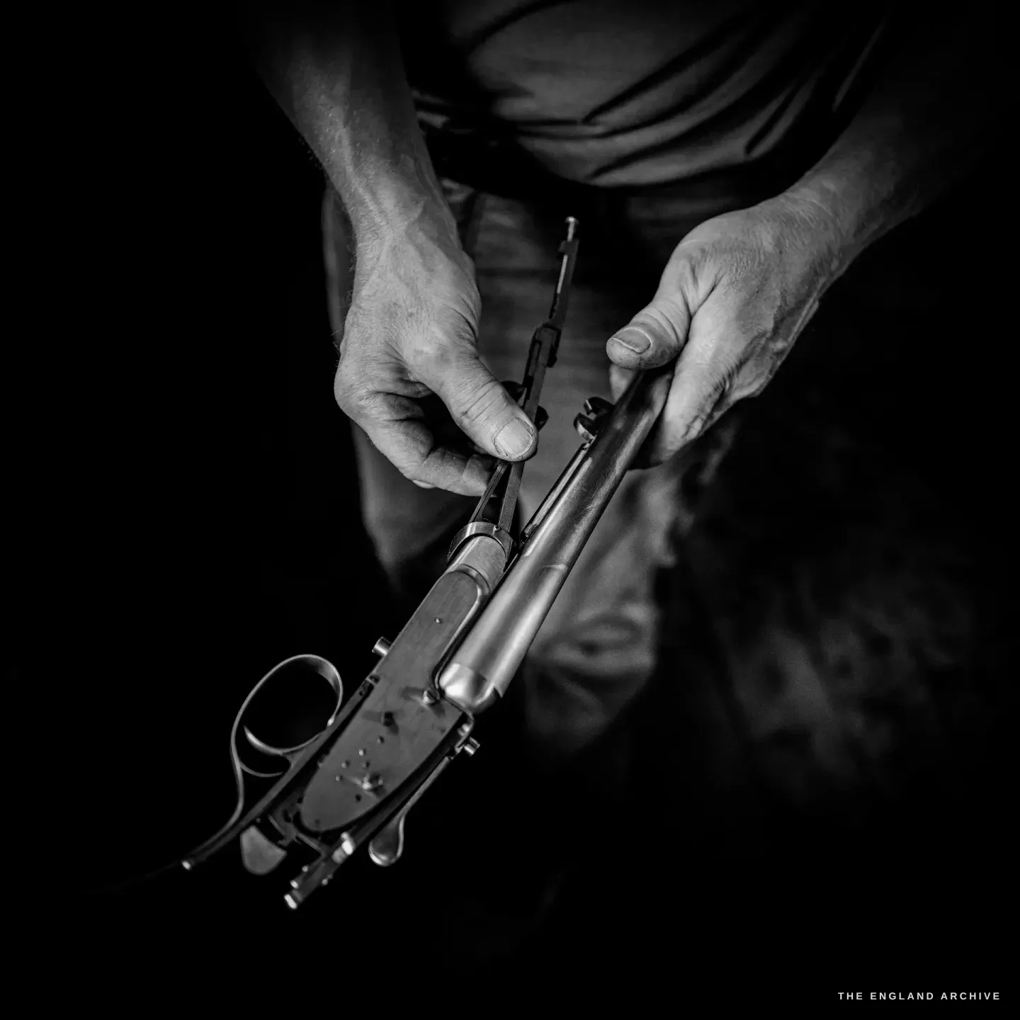 Two hands hold the stripped body and lockwork of a gun action, the trigger plate and springs separated to show the fit.