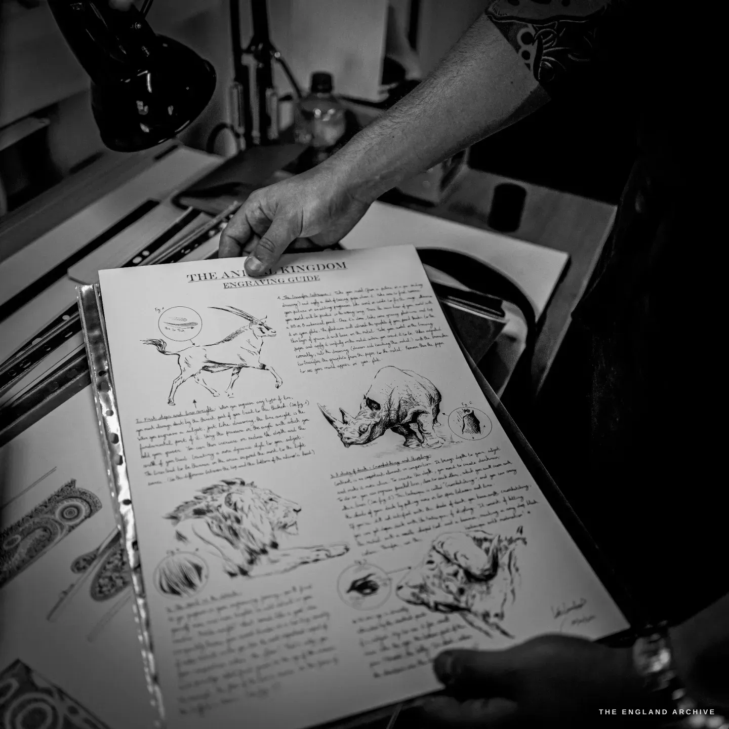 A hand-drawn reference sheet headed THE ANIMAL KINGDOM ENGRAVING GUIDE, covered in pen studies of a lion, a rhinoceros, an antelope and other animals with handwritten notes.