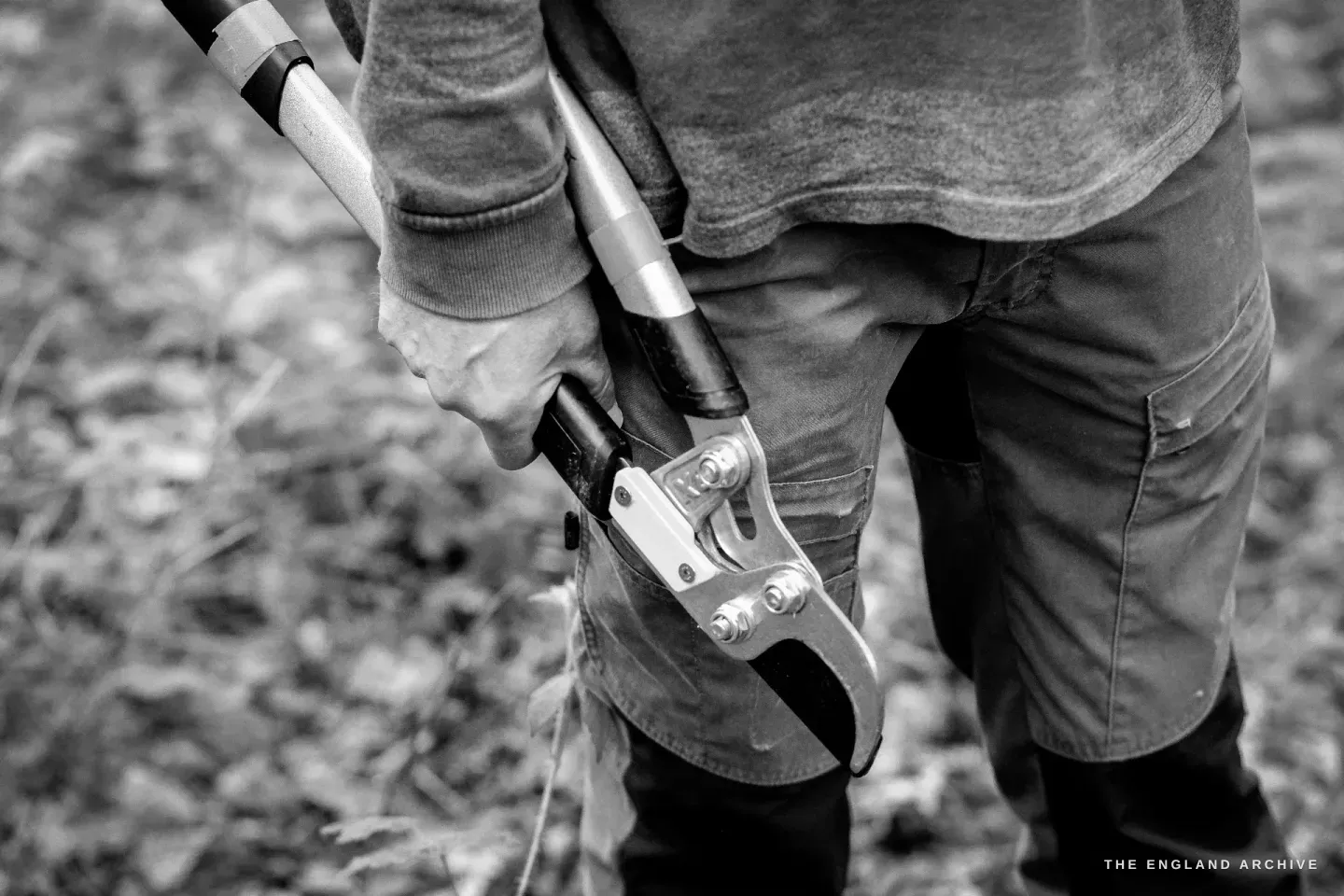Close detail of a pair of bypass loppers held against Lewis’s thigh, the cutting head and the long shafts visible, the woodland floor blurred behind.