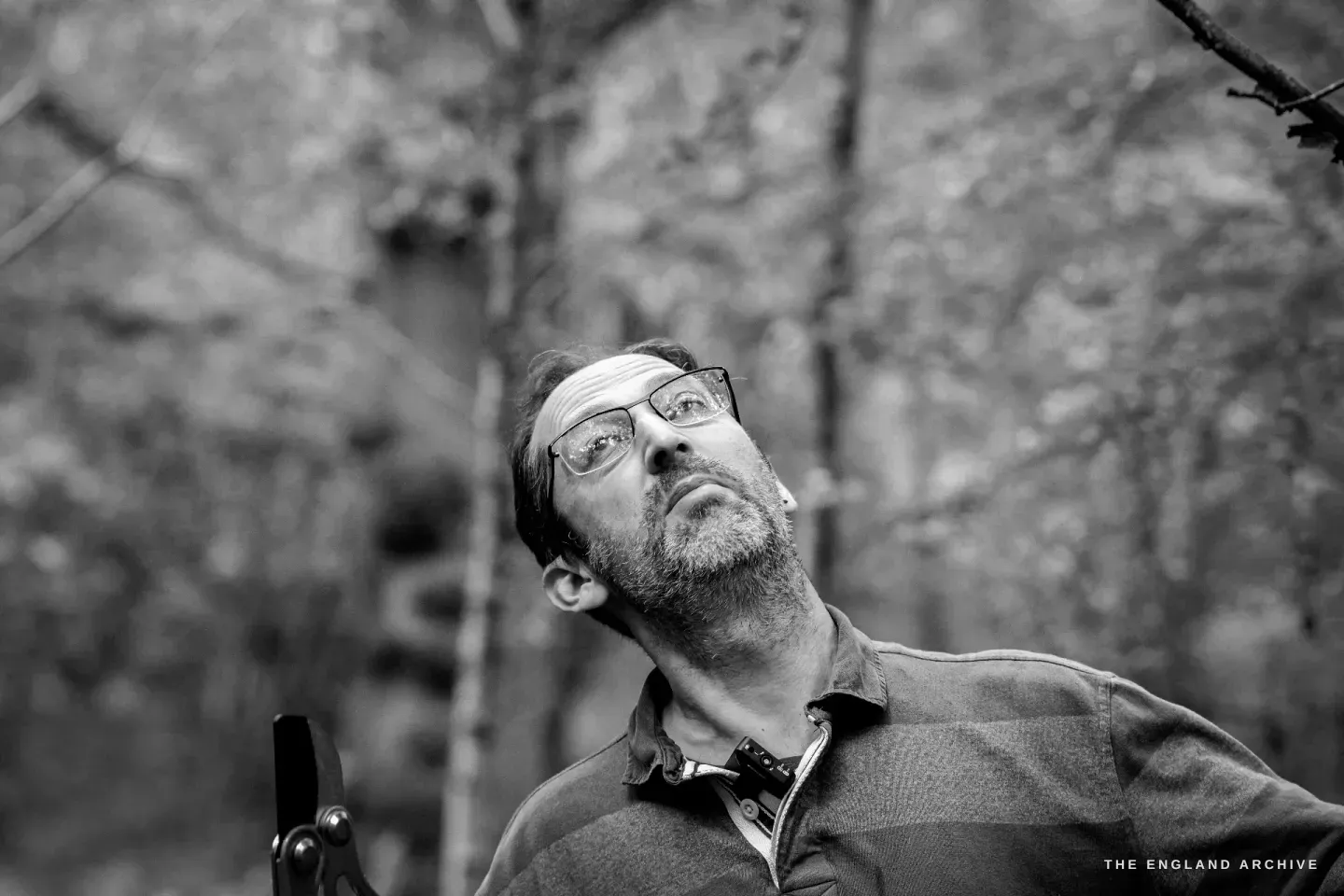 Lewis looking up into the canopy of a hazel stool, a buff working scarf around his head, the eyes narrowed in assessment.