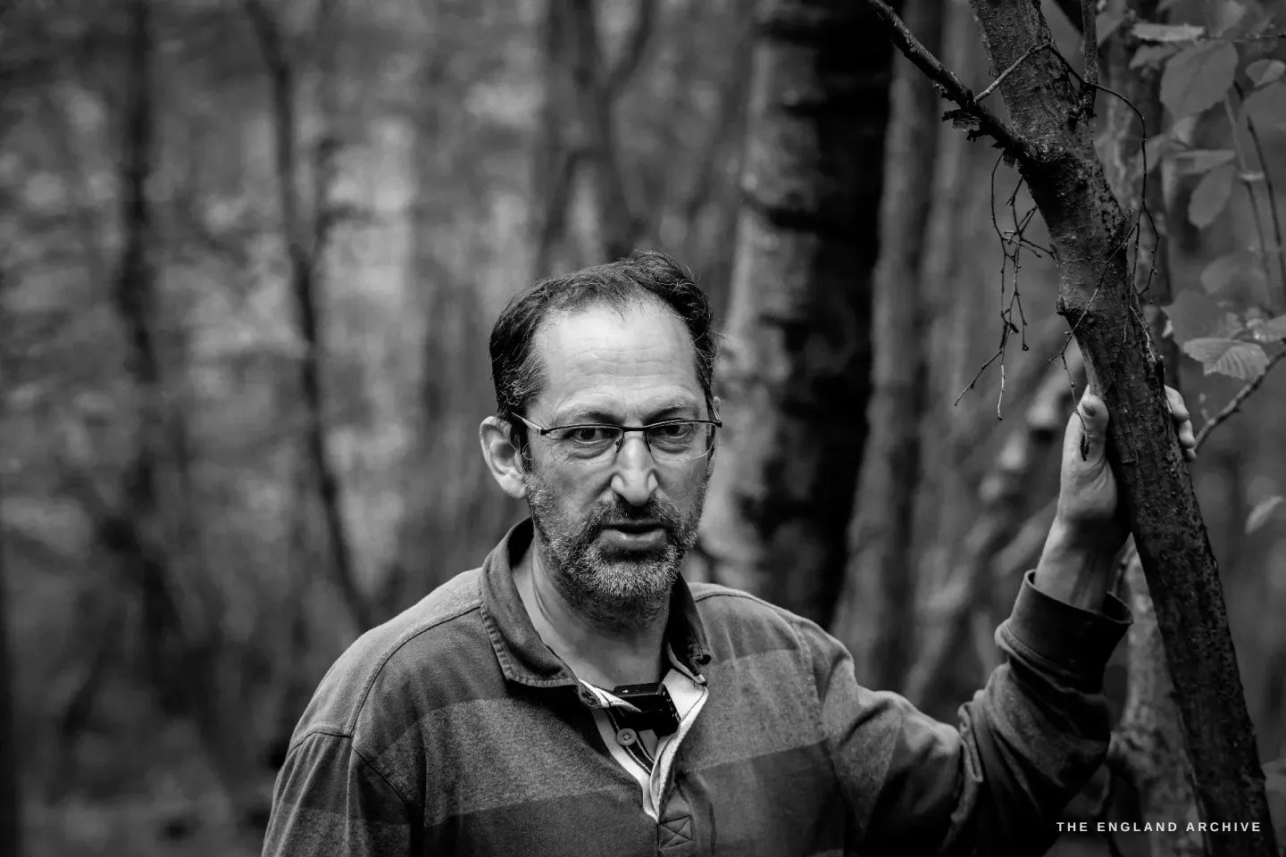 Three-quarter portrait of Lewis among the hazel stems, his right hand resting against a smooth rod, the wood softly out of focus behind him.