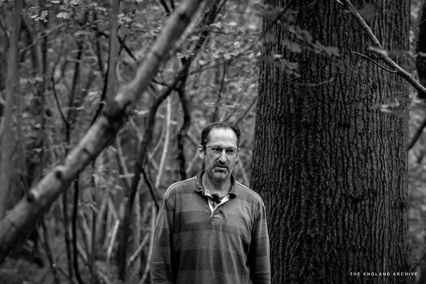 Lewis standing beside a heavier tree trunk on the woodland floor, his expression set, a quiet pause between cuts.