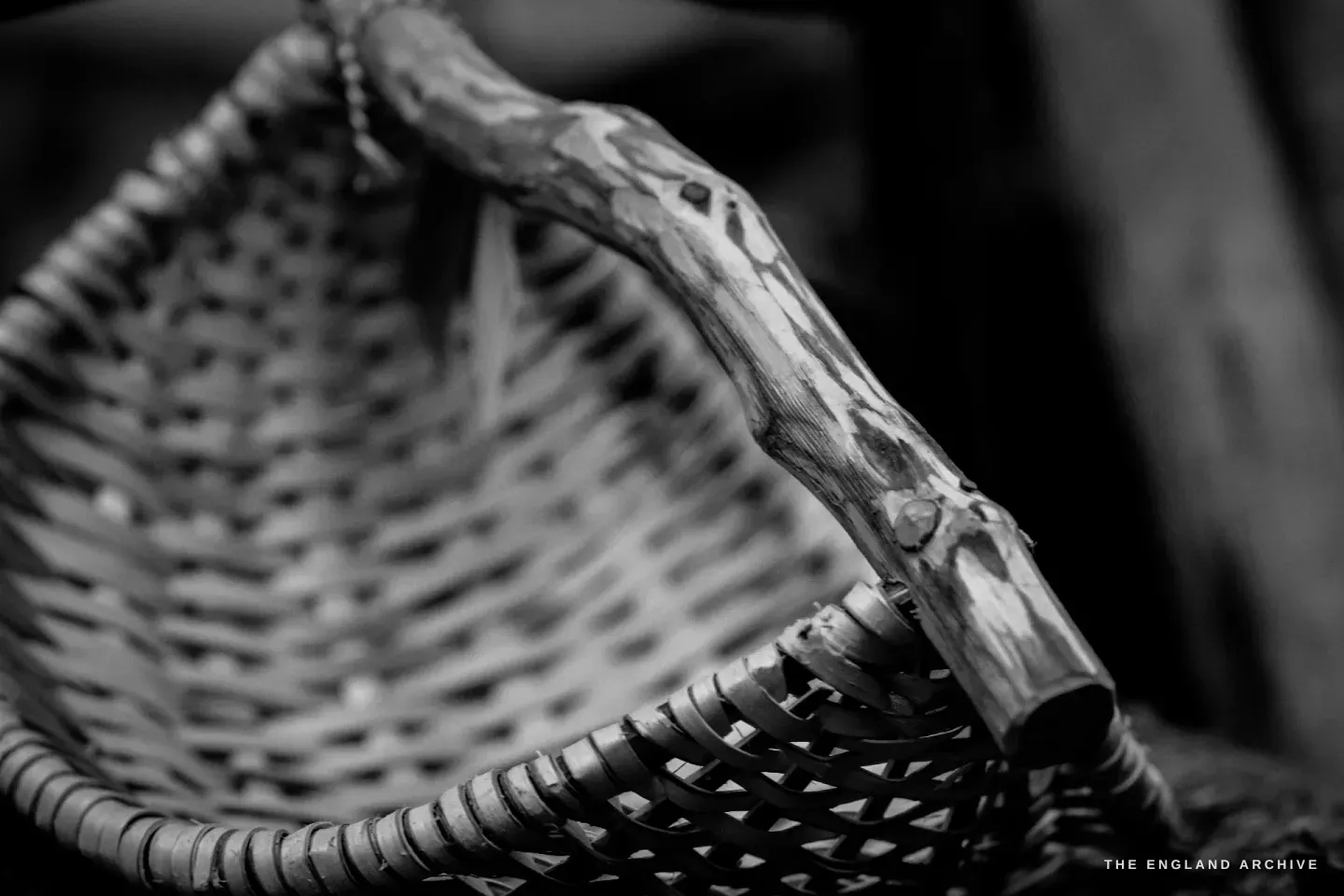 Macro detail of the handle joint of a Whisket - the bark-on hazel bow set into the rim, secured with a fine wrap, the pale interior of the basket weave below.