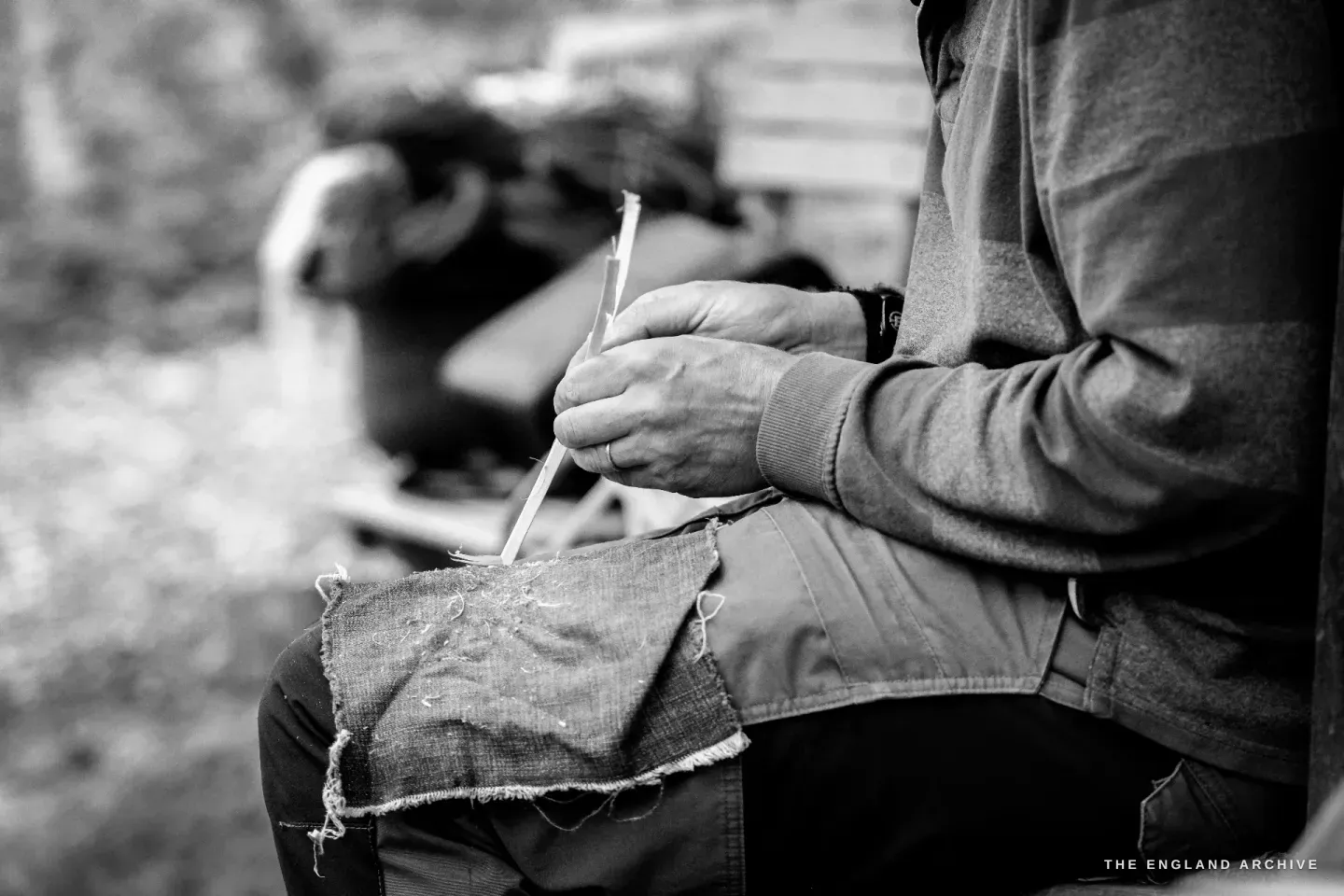 Lewis’s hands draw a small knife along a pale hazel splint, working over a folded denim apron laid across his thigh.