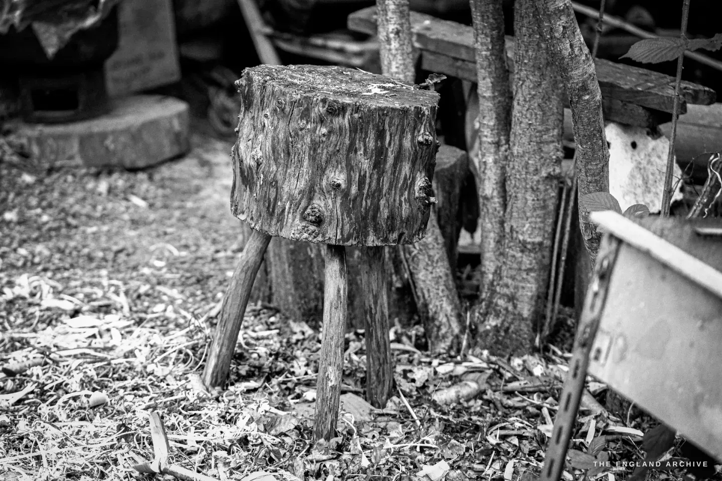 A heavy round chopping block raised on four short rough-cut wooden legs, sitting on a floor of hazel shavings, the morning’s offcuts strewn around its base.