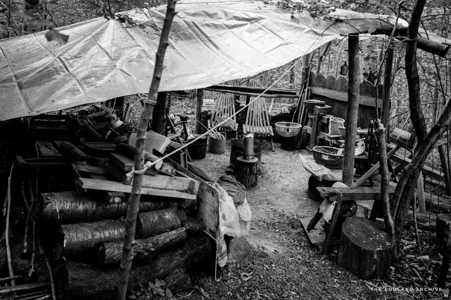 Wide view of Lewis Goldwater’s workshop in the woodland - a translucent plastic canopy stretched over a hand-built timber frame, a stacked woodpile at left, the workbench and basket tools at the back, a central fire stand, hazel rods leaning at the edges.