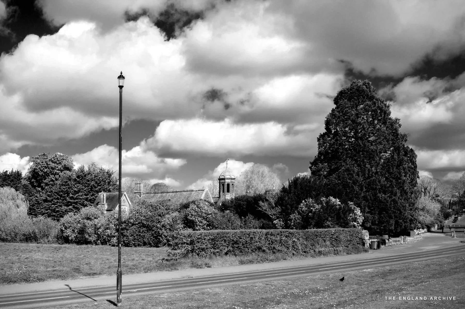 A distant view of a church cupola rising above a hedge with a grass verge and lamp post in the foreground.