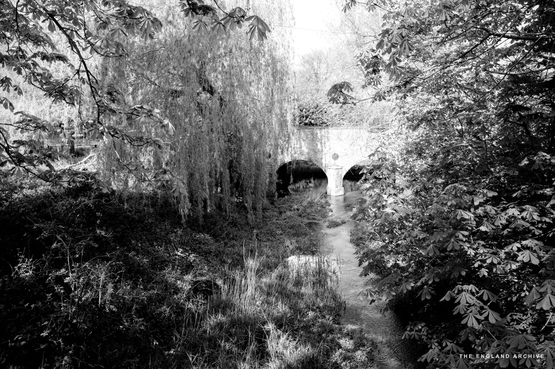 An old stone arch bridge over a small stream, framed by willow branches and chestnut leaves.