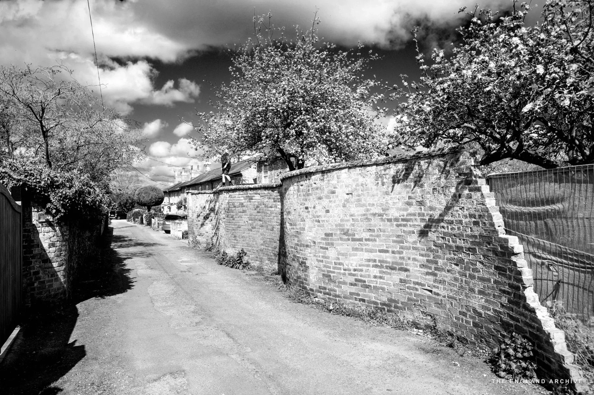 A narrow lane beside a tumbledown red brick wall with apple blossom overhanging and cottages in the distance.