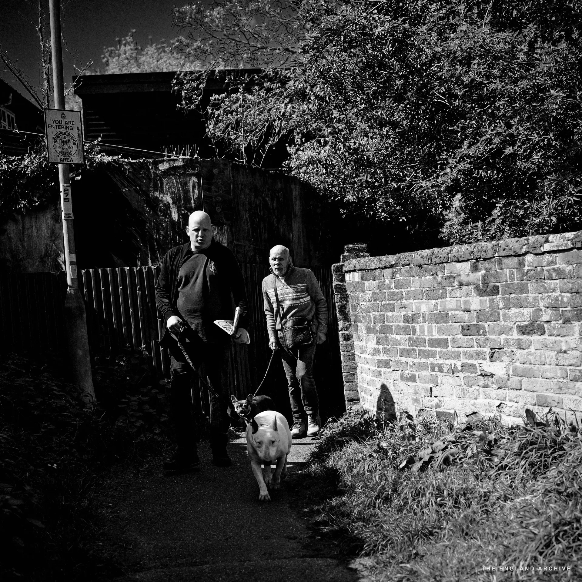 Two men walking along a footpath, one in blue and one in grey leading a grey and pink pig on a lead, a dark shed wall and brick wall behind.