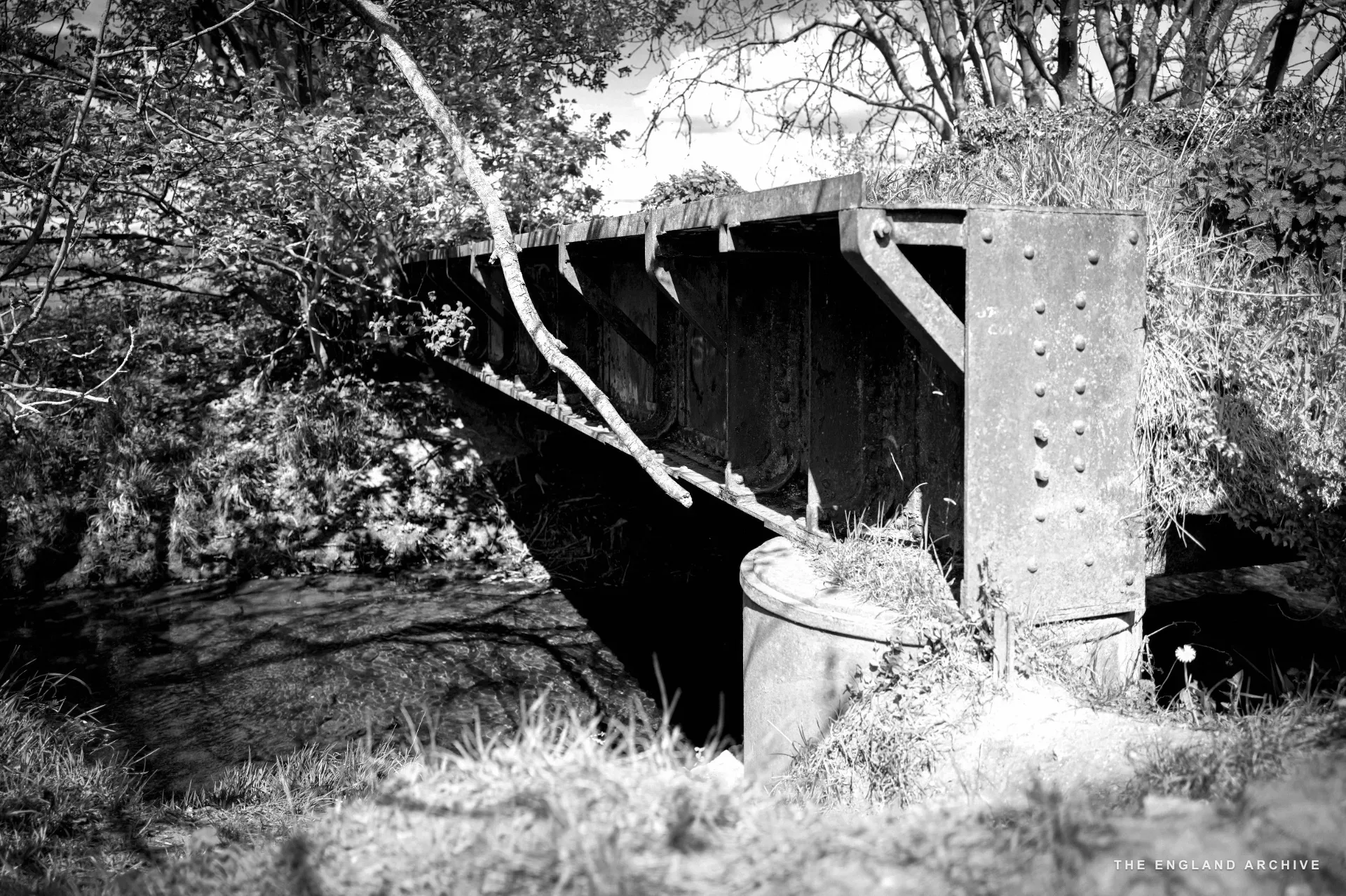 A rusted iron railway girder bridge with peeling paint spanning a small stream, a silver birch trunk leaning across the frame.