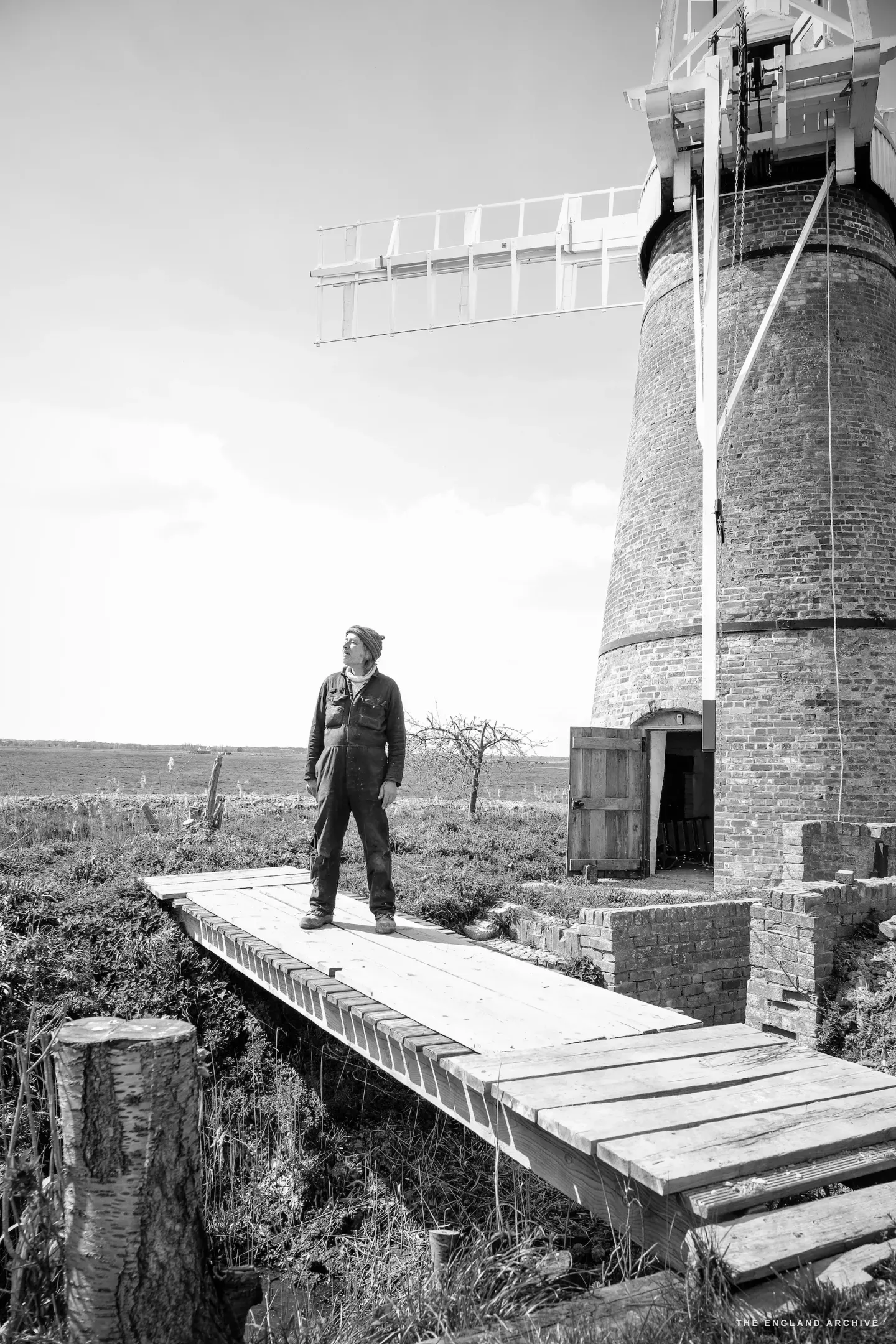 Paul Kemp in profile, looking up at the mill sails, the marshes behind