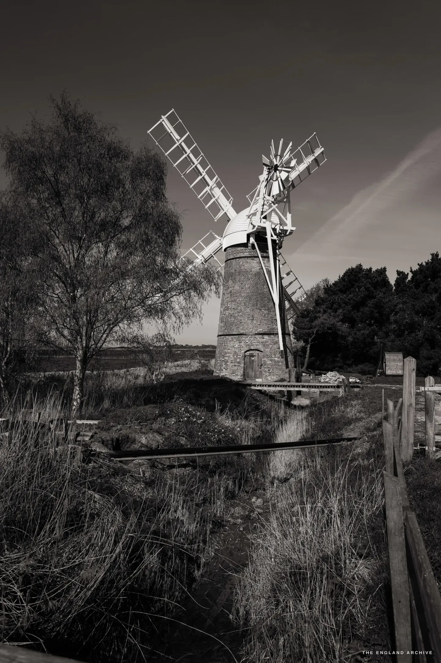 The mill in portrait format, a drainage dyke leading the eye toward the tower, reeds and marshland in the foreground