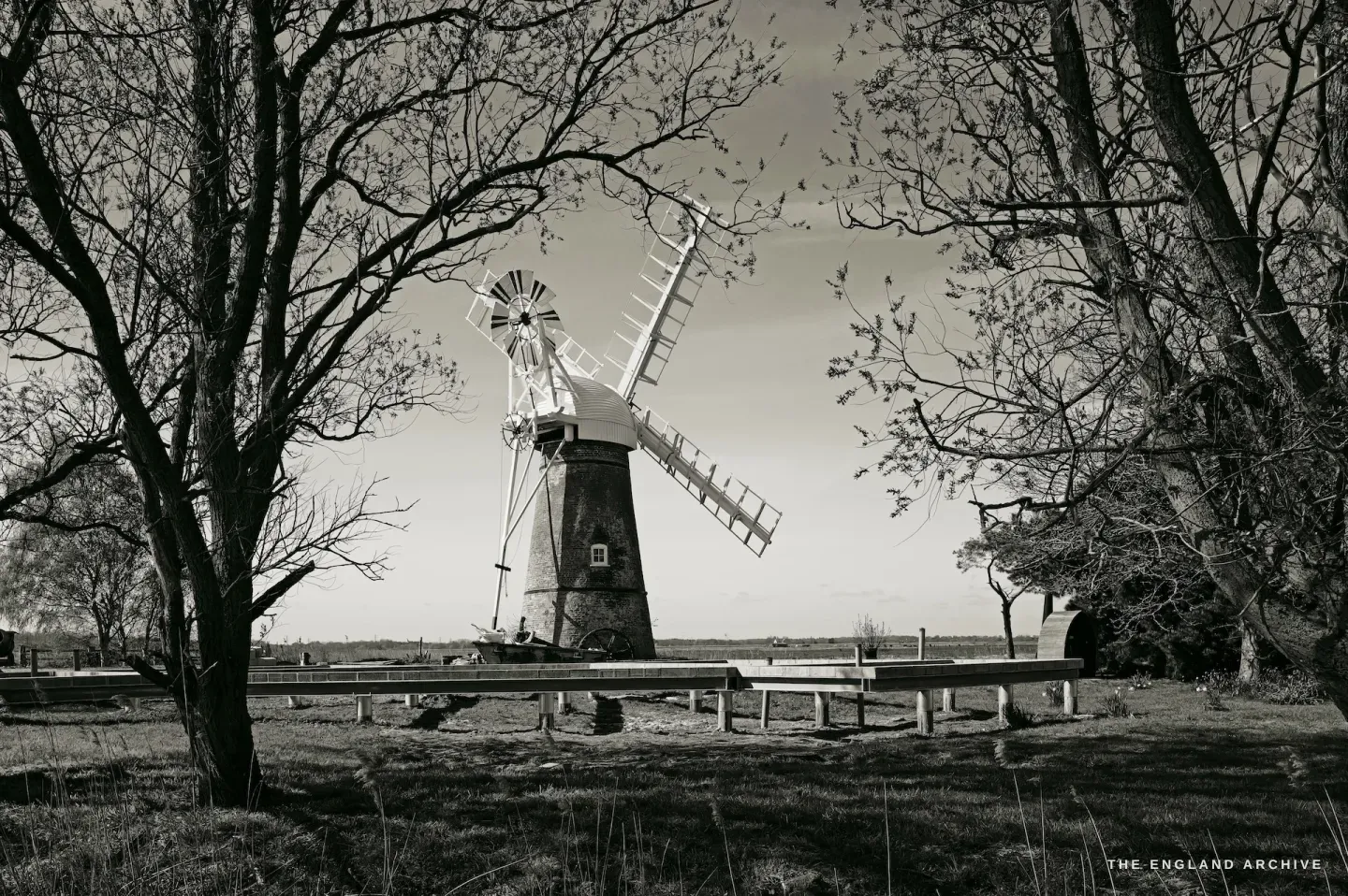 Toft Monks Mill framed through bare winter trees, the Broads landscape stretching flat beyond