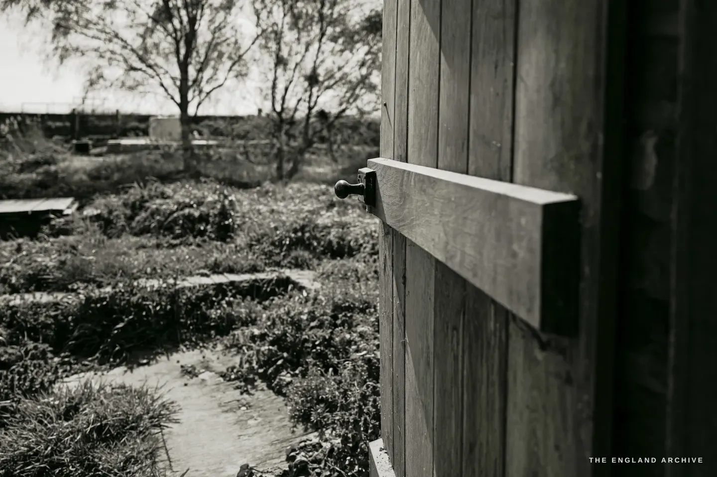 A door bolt on the mill timber, shallow depth of field, the overgrown path and marshland beyond
