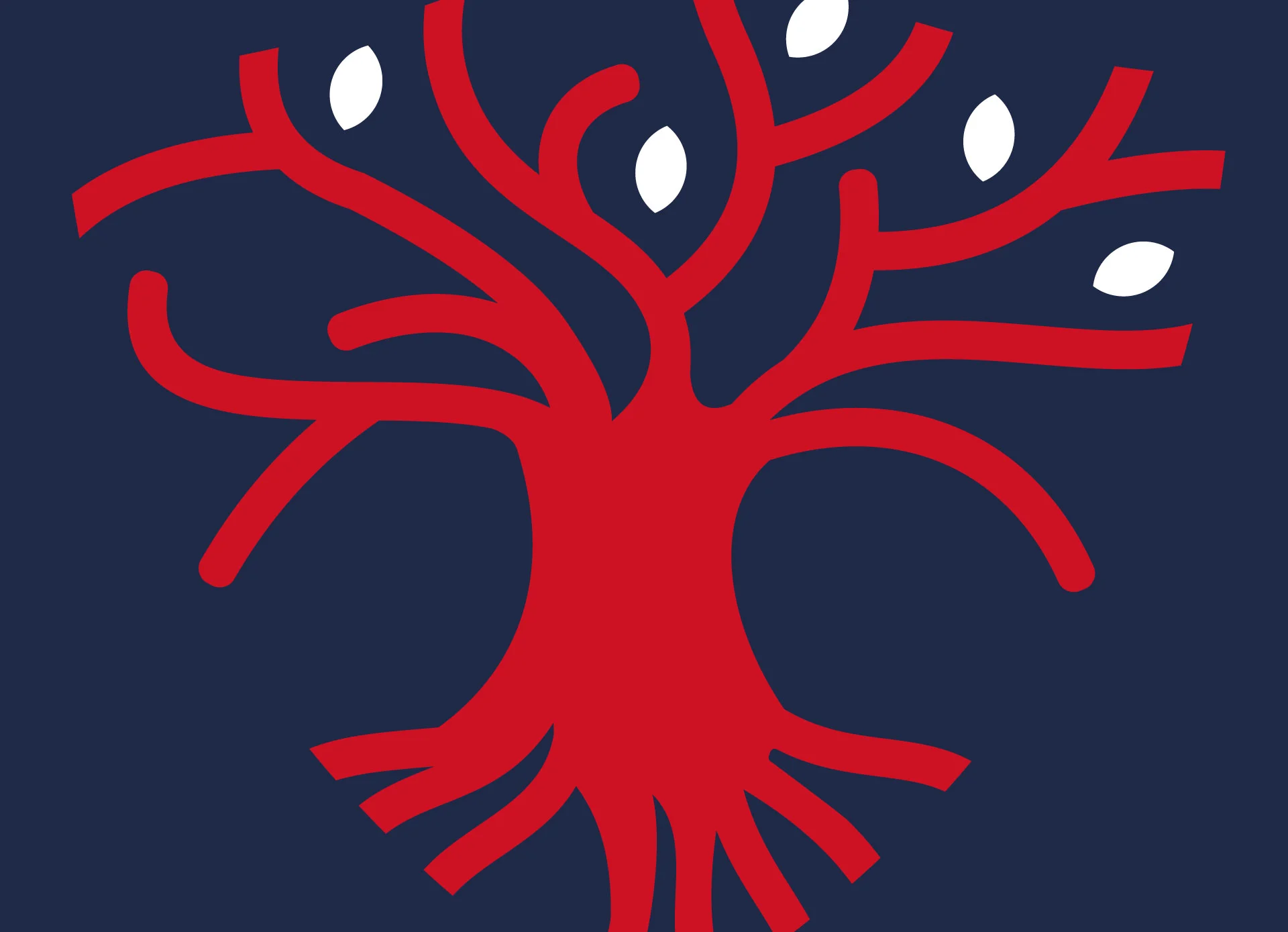 Documentary photography - The England Archive