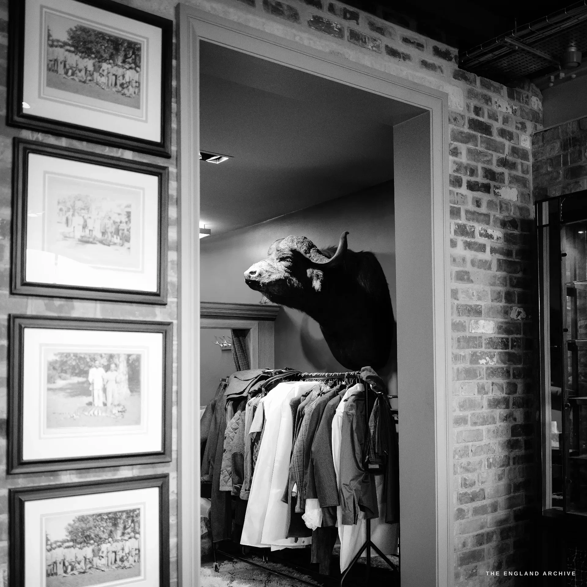 A doorway through to a room with a mounted cape buffalo head on the far wall, framed sepia photographs of old shooting parties down one side and a glazed display cabinet the other, exposed brick around the opening.
