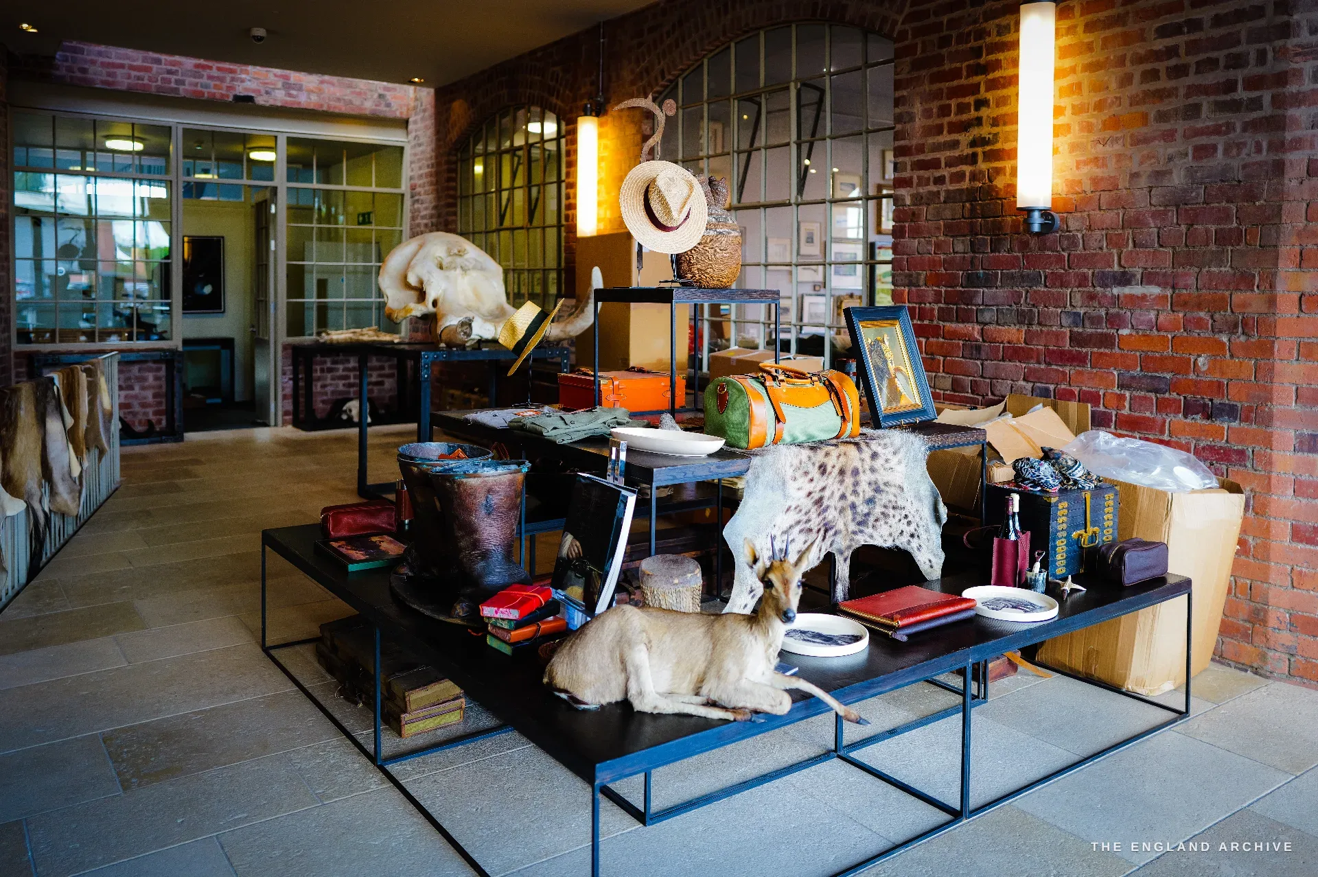The entrance hall: an elephant skull with tusks on a black plinth, a table of sporting taxidermy and luggage, animal hides on a rail, framed pictures and tall arched industrial windows in a brick wall.