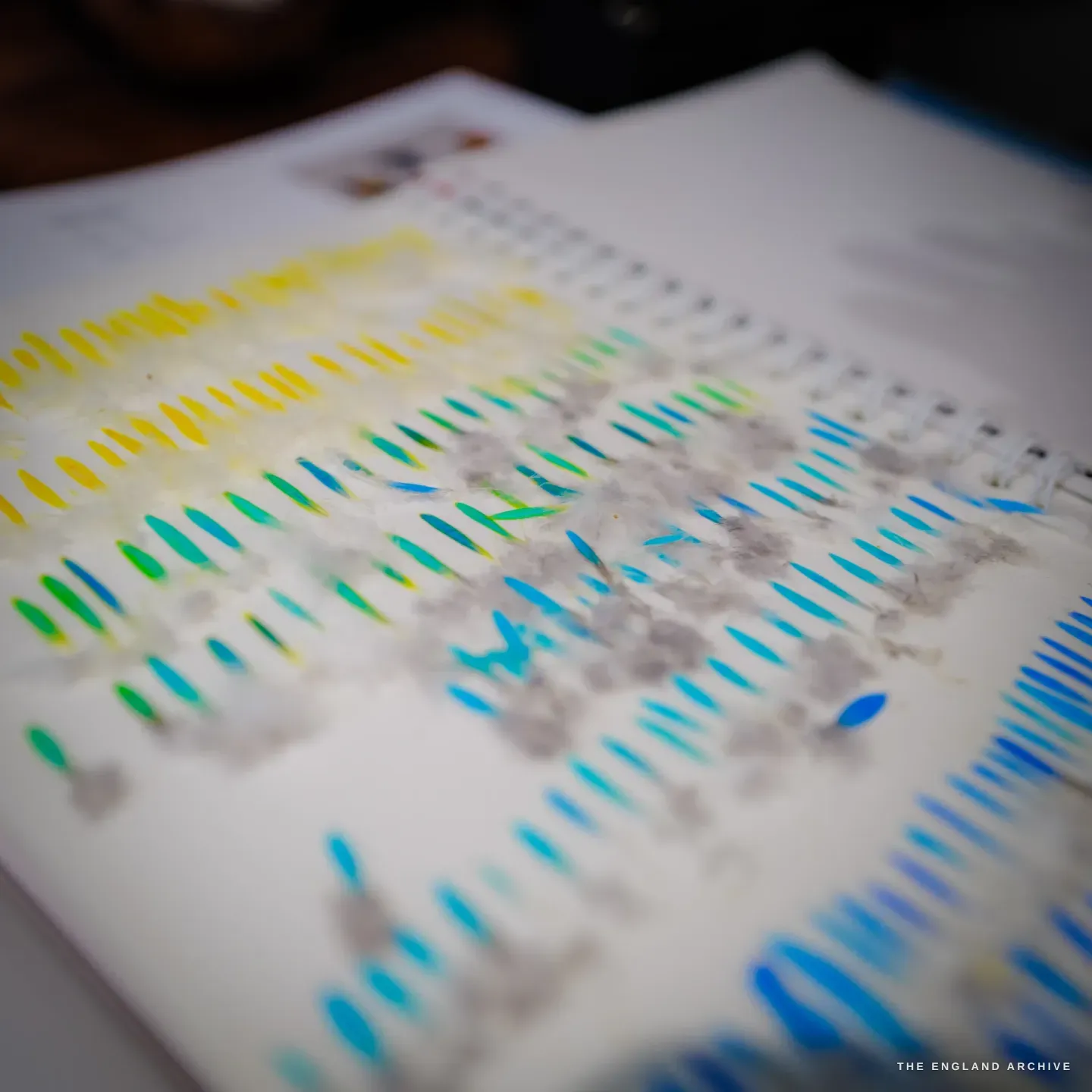 Macro view of the album sheet of cut feather barbs graded from yellow through to deep blue.