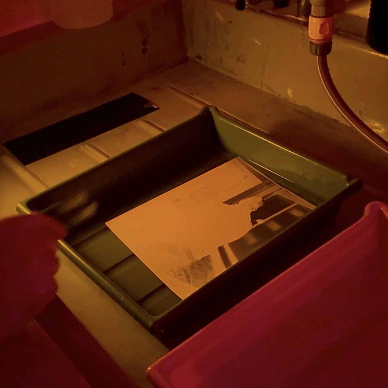 A paper negative developing in a tray under safelight in the darkroom at the POST, the image slowly appearing in amber light
